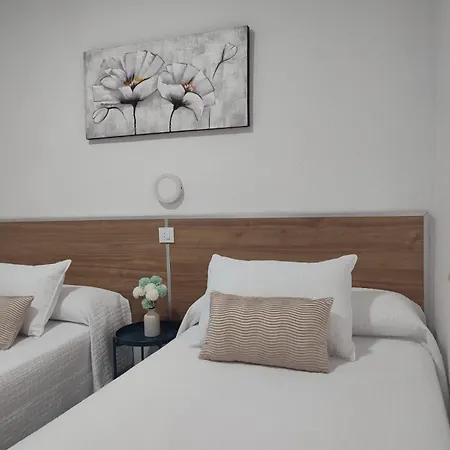 Apartamento Mellizos *